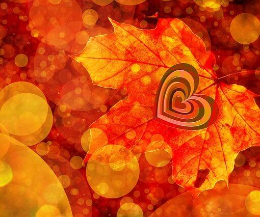 Heart-Chakra-Meditation