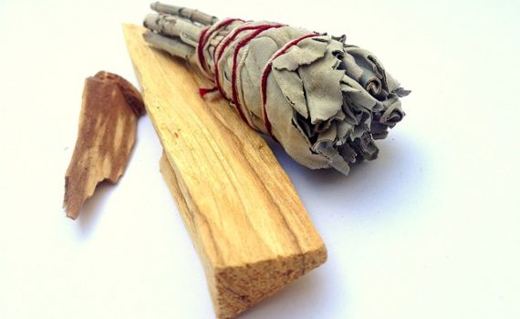 Palo Santo - Das heilige Holz